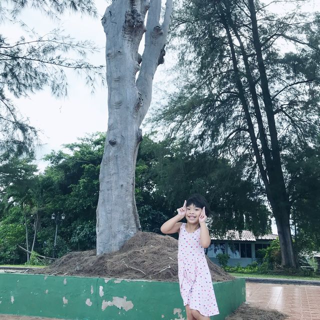 อ่าวมะนาว ประจวบคีรีขันธ์