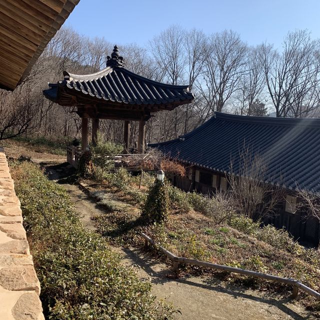 [순천] 마음을 달래는 다도체험