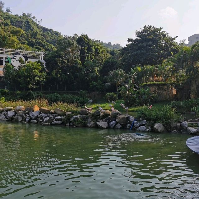 falling for this Seac Pai Van Panda Park