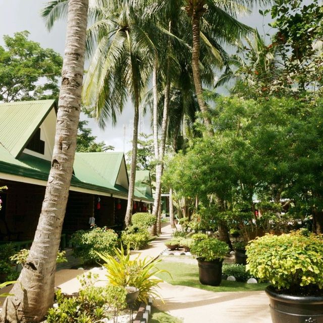 🩴보홀에서 저렴하게 데이트립할 수 있는 리조트 소개🏝