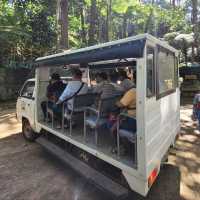 Experience Nature at Eden Nature Park 