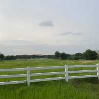 "พระพุทธมหาธรรมราชา" จ.เพชรบูรณ์