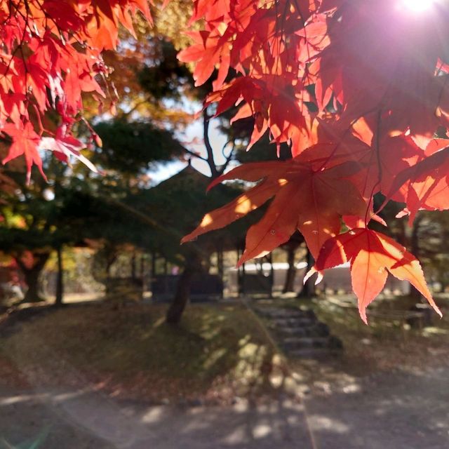 【長野・小諸】小諸城址懐古園