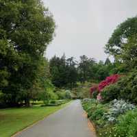 DUNEDIN BOTANIC GARDEN 