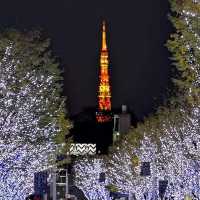 Winter Illumination @ Roppongi Hills 