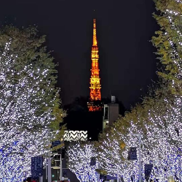 Winter Illumination @ Roppongi Hills 
