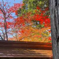京都の中でも紅葉の穴場スポット　毘沙門堂