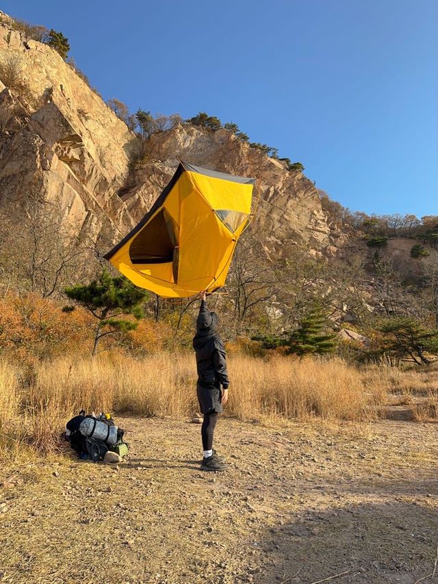 한국의 세렝게티에 오신 것을 환영합니다🦒