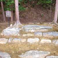 室町時代からの歴史的文化財も多数【二尊院】✨