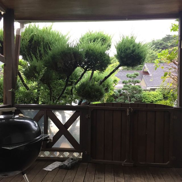 태안 트루디 펜션 후기