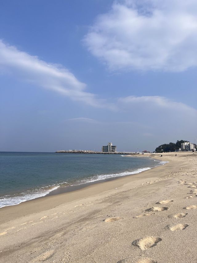 💫친구들과 힐링 사진 찍기 좋은 강릉 강문해변💫