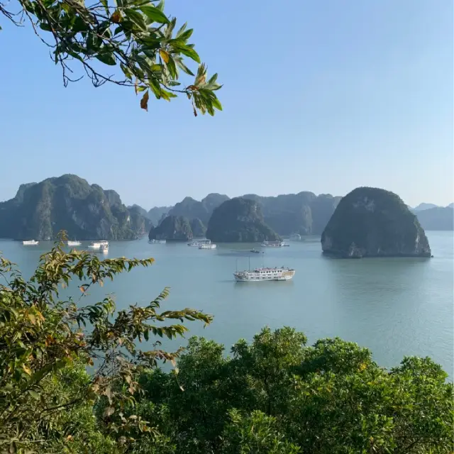 Amazing Ha Long Bay