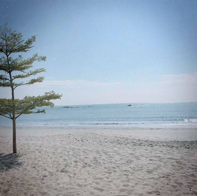 隱世海邊餐廳🏖Bathers