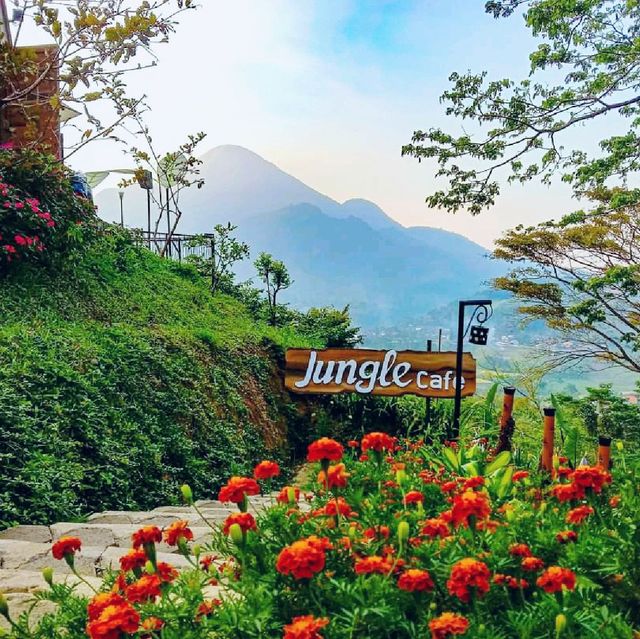 Jungle cafe Trawas