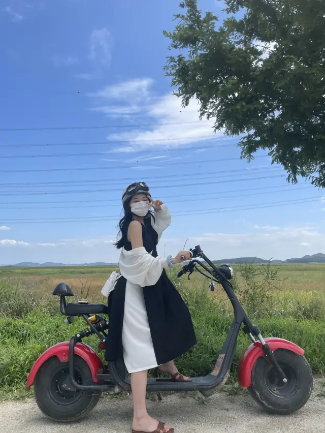 대부도 액티비티 추천 :: 대부바다향기테마파크🛵