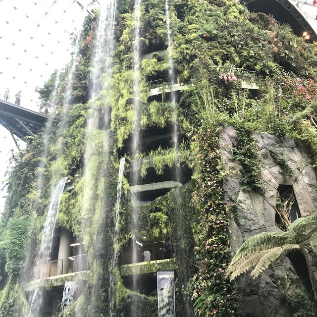 新加坡🇸🇬Marina Bay溫室🌸🌼花迷必去