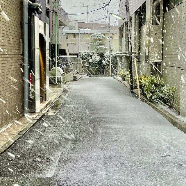 東京が雪景色に！