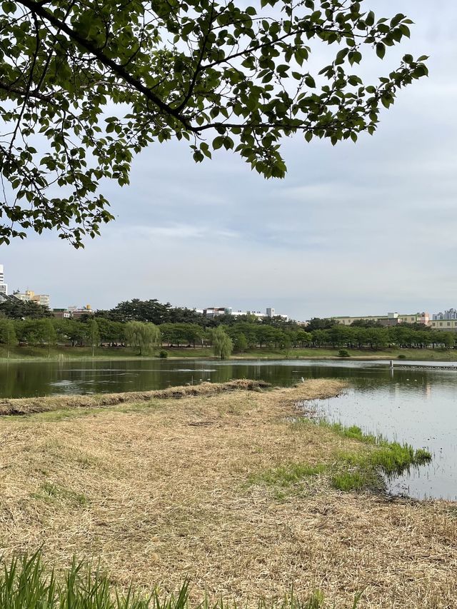 산책하기 좋은 수원 공원