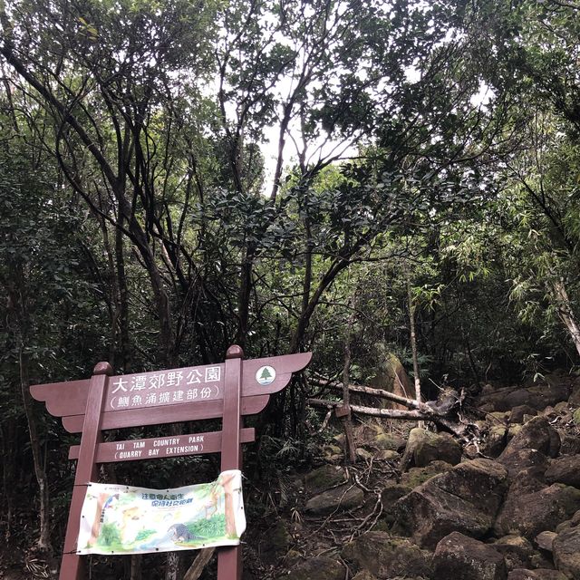 柏架山⛰️行山 柏架山⛰️行山