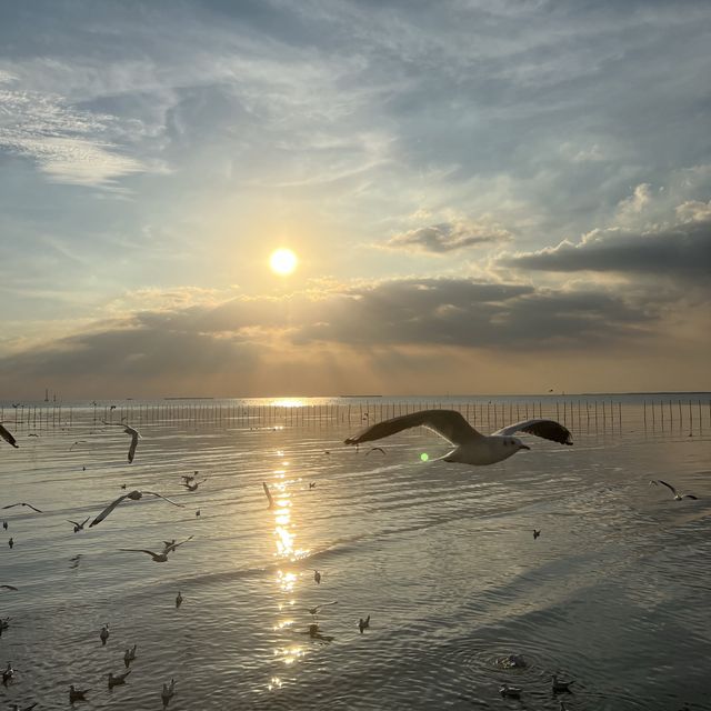 บางปู ธรรมชาติเยียวยาใจฉัน 🕊🕊