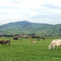 ทะเลหมอก  Appenzell