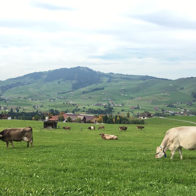 ทะเลหมอก  Appenzell
