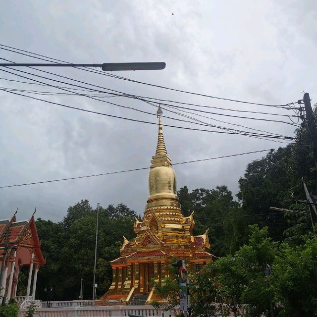 🌳สะพานแขวน ถ่ายรูปสุดปัง @ทองผาภูมิ🌳