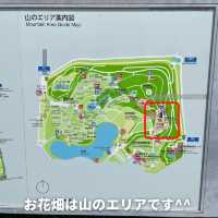 【花博記念公園 鶴見緑地】風車の丘🌷