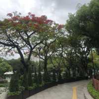 環境清幽嘅屯門市公園