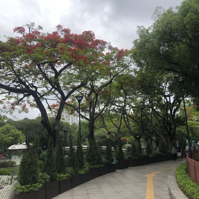 環境清幽嘅屯門市公園