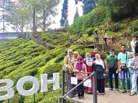 BOH TEA CENTRE, CAMERON HIGHLANDS !! 🍃