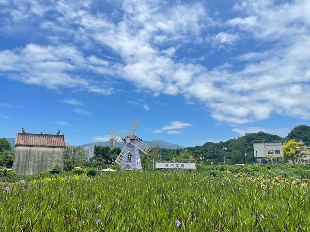 📍蝶豆花有機農莊