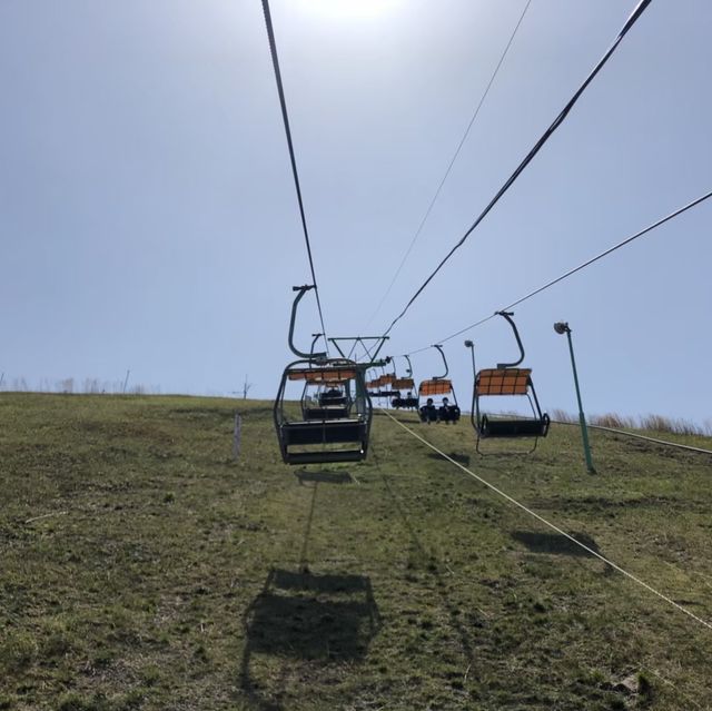 【静岡県】大室山でお鉢めぐり！