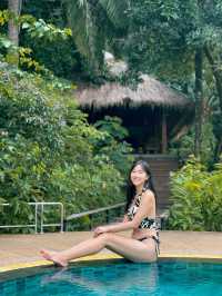 必試性價比極高森林resort