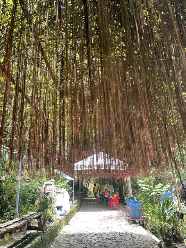 Mesmerizing Waterfalls in Barili, Cebu