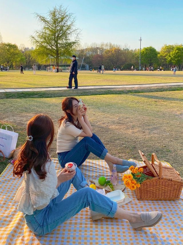 서울숲 피크닉 핫플🔥 인생샷 건졌어요!! 📸