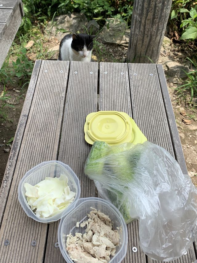 계양산 ⛰️ 수도권 등산하기 좋은 곳