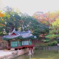 Autumn @Gyeongbokgung Palace 