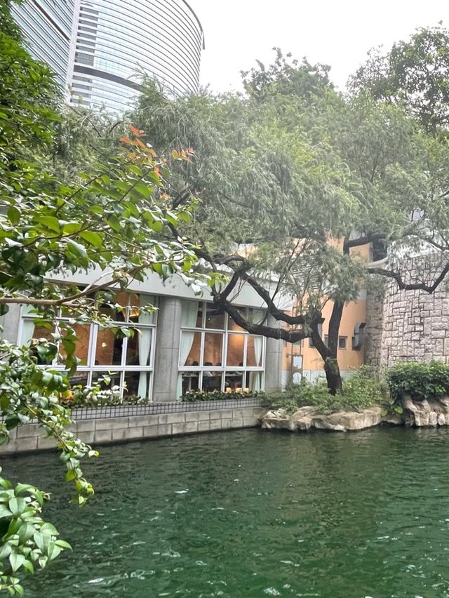 金鐘湖邊下午茶🫖