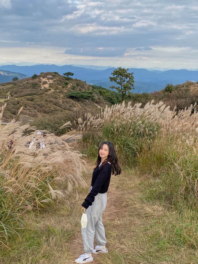 가을 억새명소, 황매산오토캠핑장 둘러보기🏕
