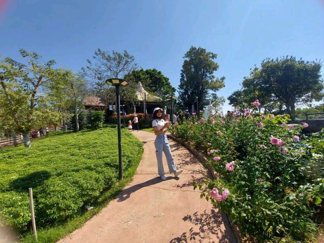 ชมดอกไม้ที่วังน้ำเขียว