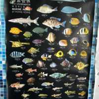 海下灣海洋生物中心