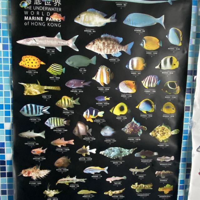 海下灣海洋生物中心