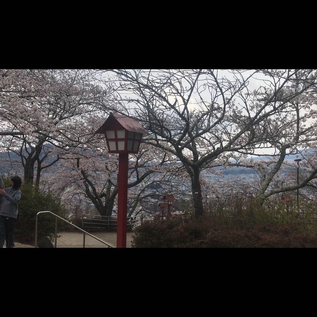 พามาชิลชมวิวสวยที่… เจดีย์แดง Chureito Pagoda กัน