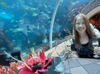 Fine Dining at Koral Aquarium Restaurant
