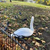 St James Park 