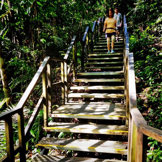 The Macritchie Petai Trial - Photo Ed