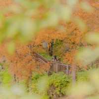 🧡주황빛으로 물든 부산에서 가장 가을다운곳 [부산, 기장용소웰빙공원]