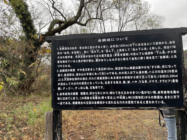 金鱗湖〜大分•湯布院