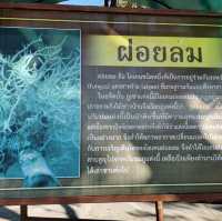อุทยานธารงาม-ภูฝอยลม